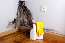 Professional Mold Inspection in Florin, CA